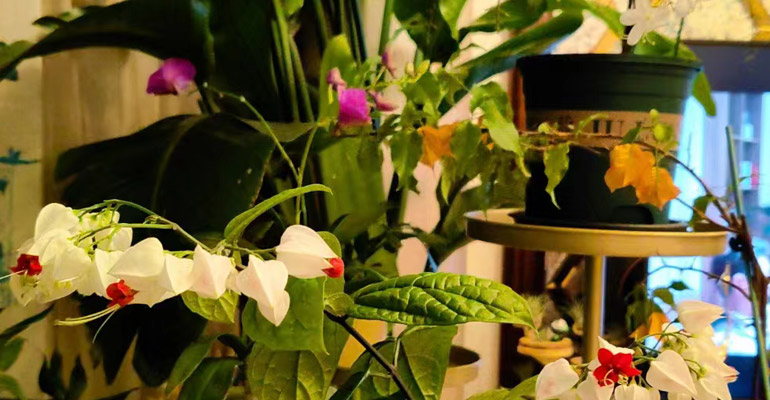 沈阳做网站的互联网公司与北京国旺律师事务所共同优化营商环境