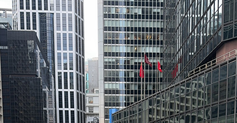 沈阳做网站公司浅谈外贸行业割韭菜的这点事 沈阳做网站公司浅谈外贸行业割韭菜的这点事